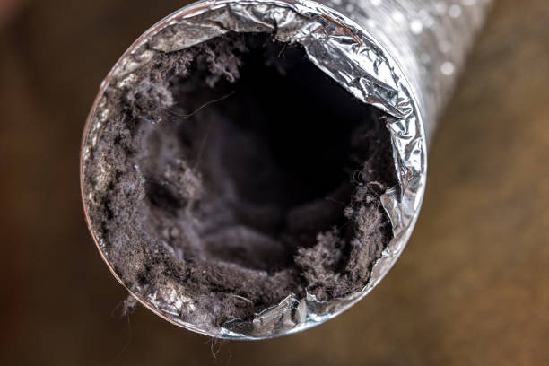 Best Affordable Air Duct Cleaning  in Brooklawn, NJ
